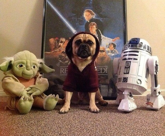 This fierce Jedi Knight hanging with his buds.